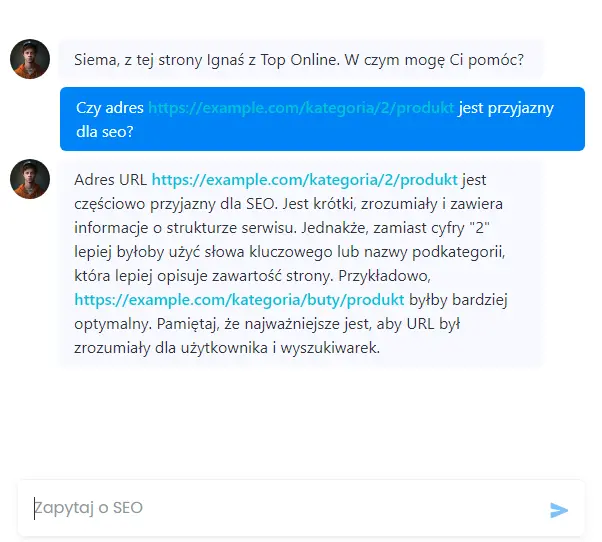 ignas optymalizuje URL