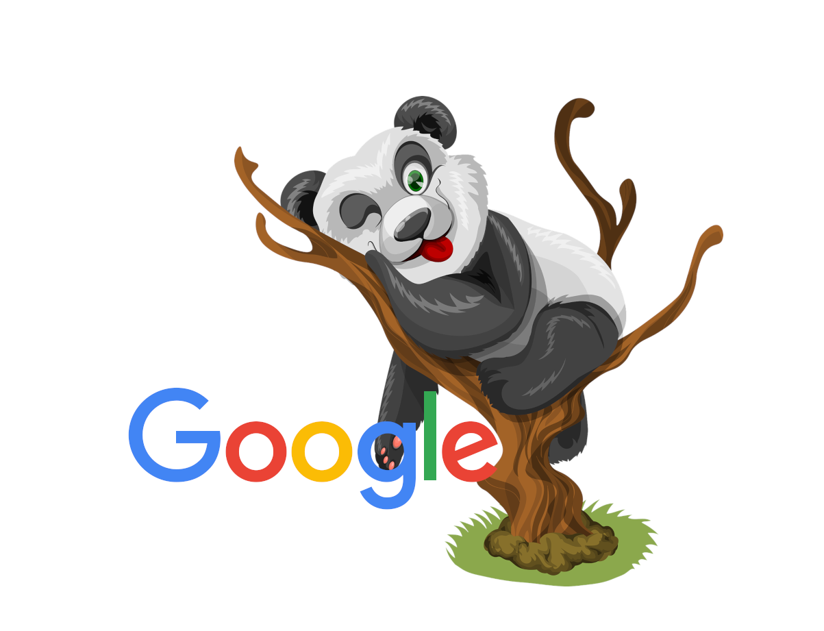 Panda algorytm Google