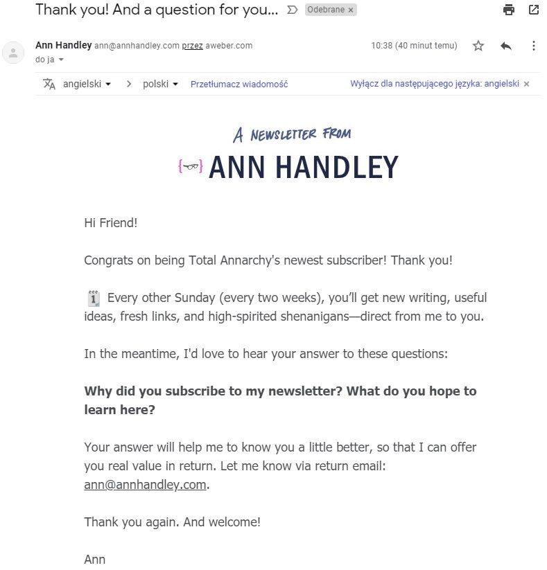 Newsletter Ann Handley