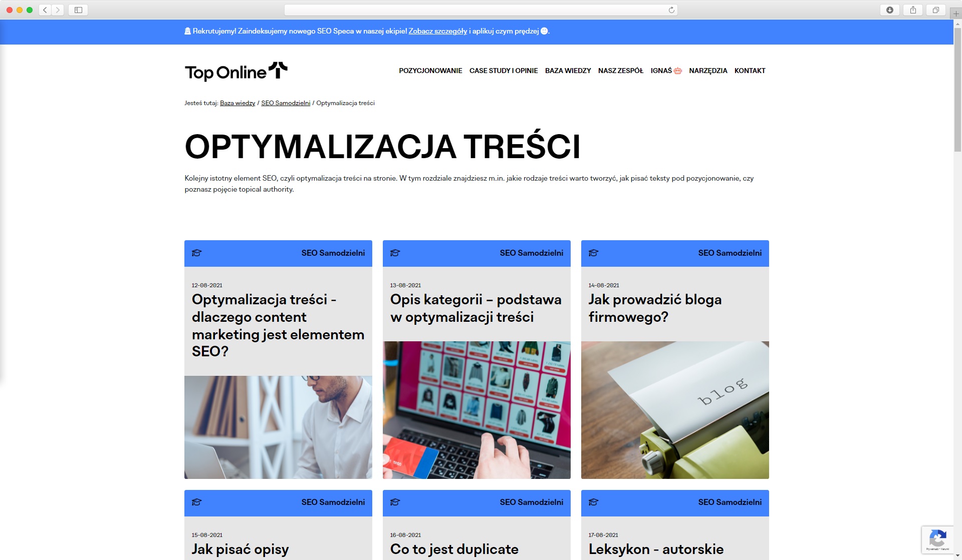 pilar page - rozdziału kursu SEO Samodzielni Top Online