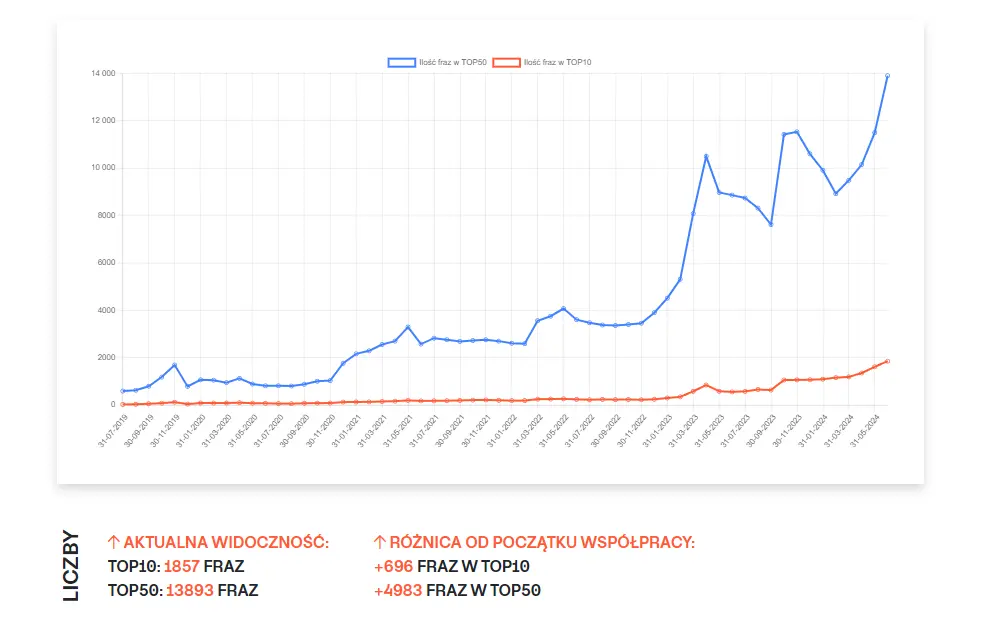 raport SEO - widoczność strony podsumowanie